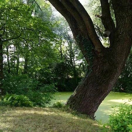 Idylisches Cottage Mit Reh Worthsee Eksteriør billede