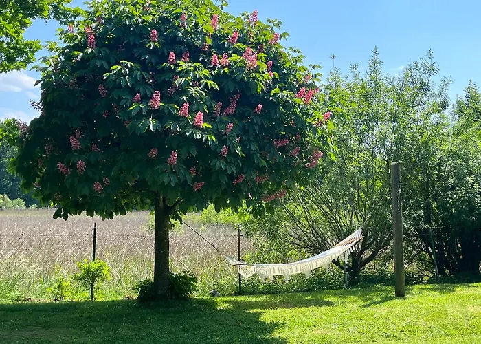 Idylisches Cottage Mit Reh