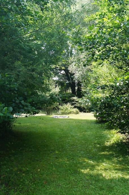 Holiday home Idylisches Mit Reh *