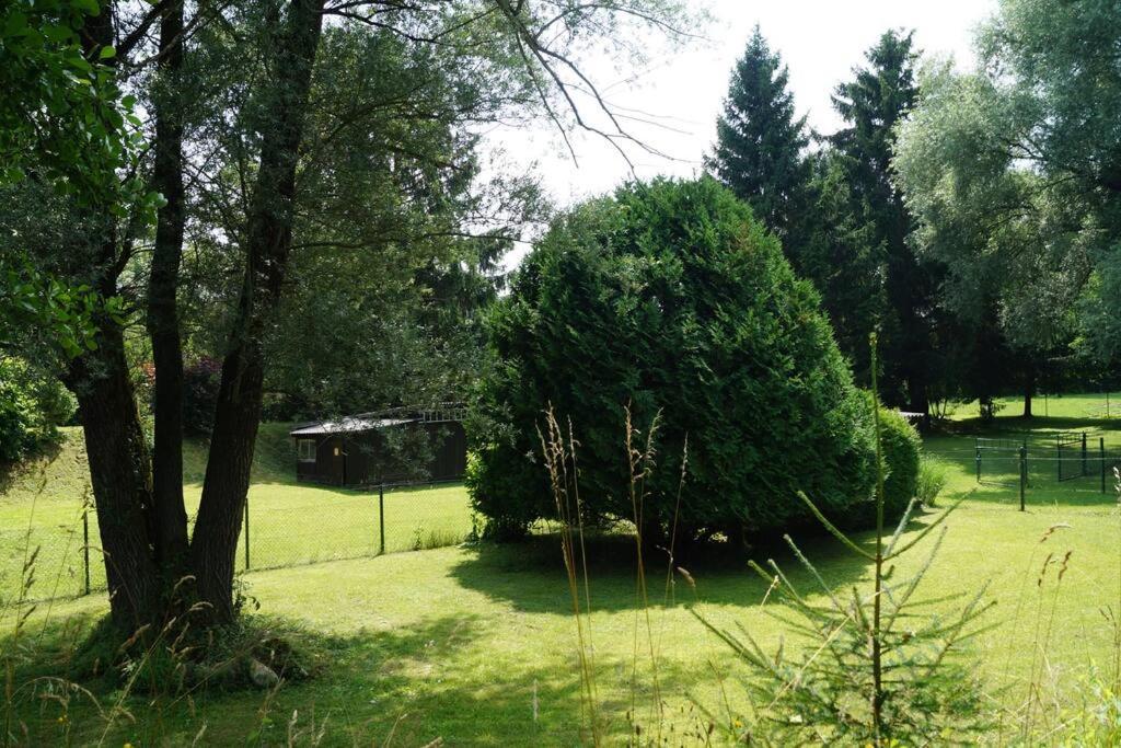 Idylisches Mit Reh