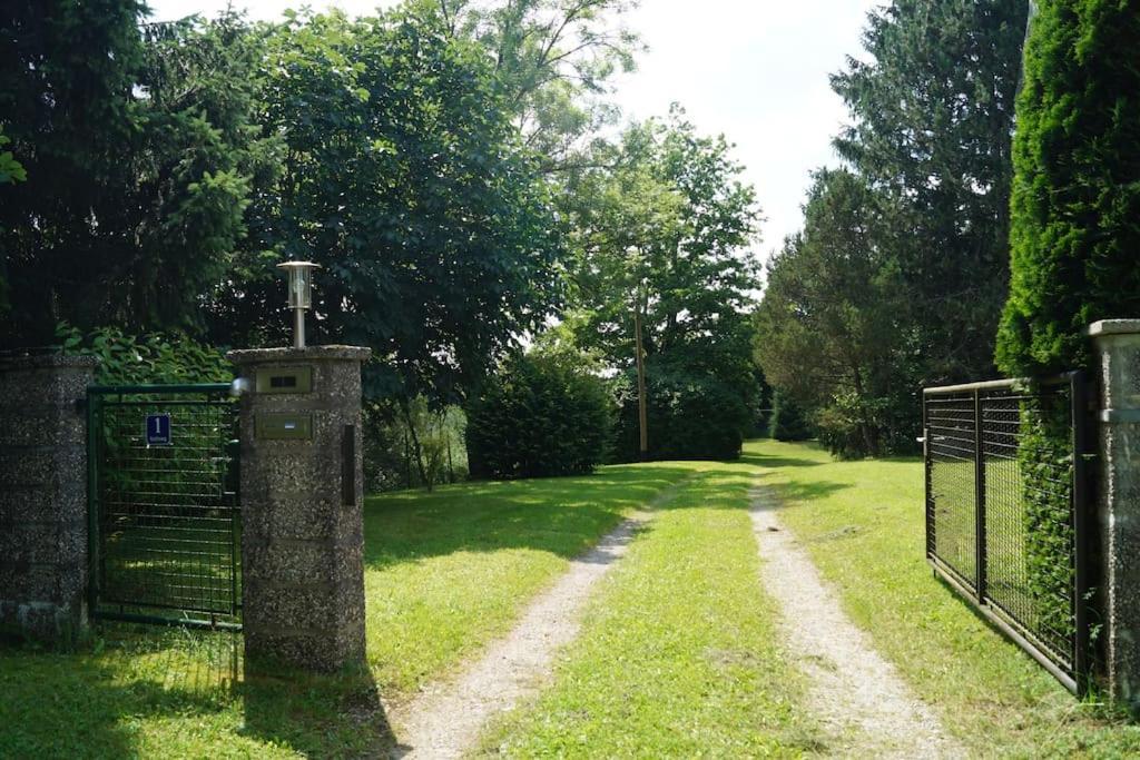 Idylisches Mit Reh Worthsee