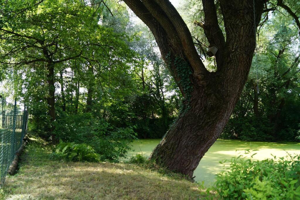 Idylisches Mit Reh Holiday home *