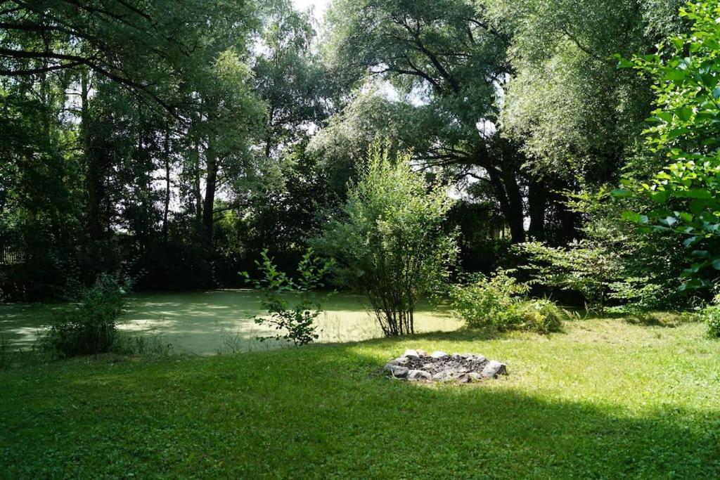 Idylisches Mit Reh Worthsee