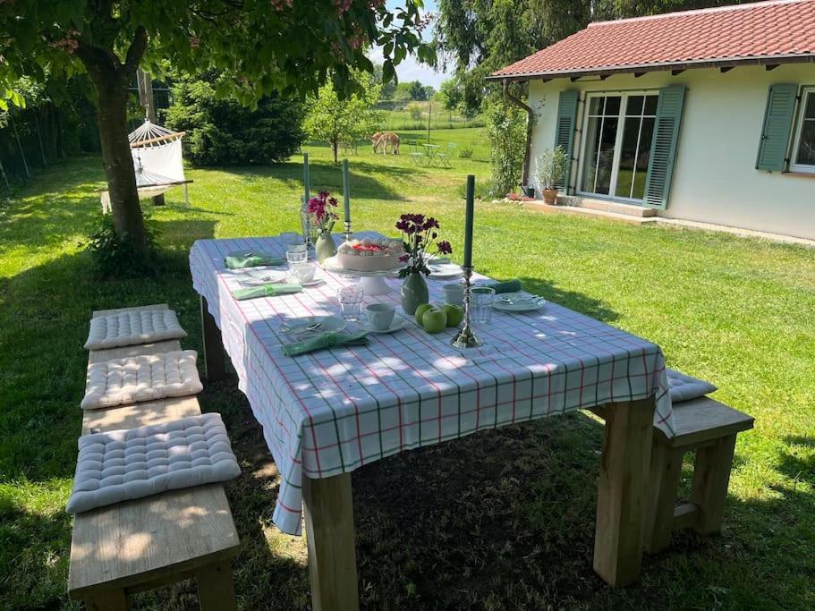 Idylisches Mit Reh