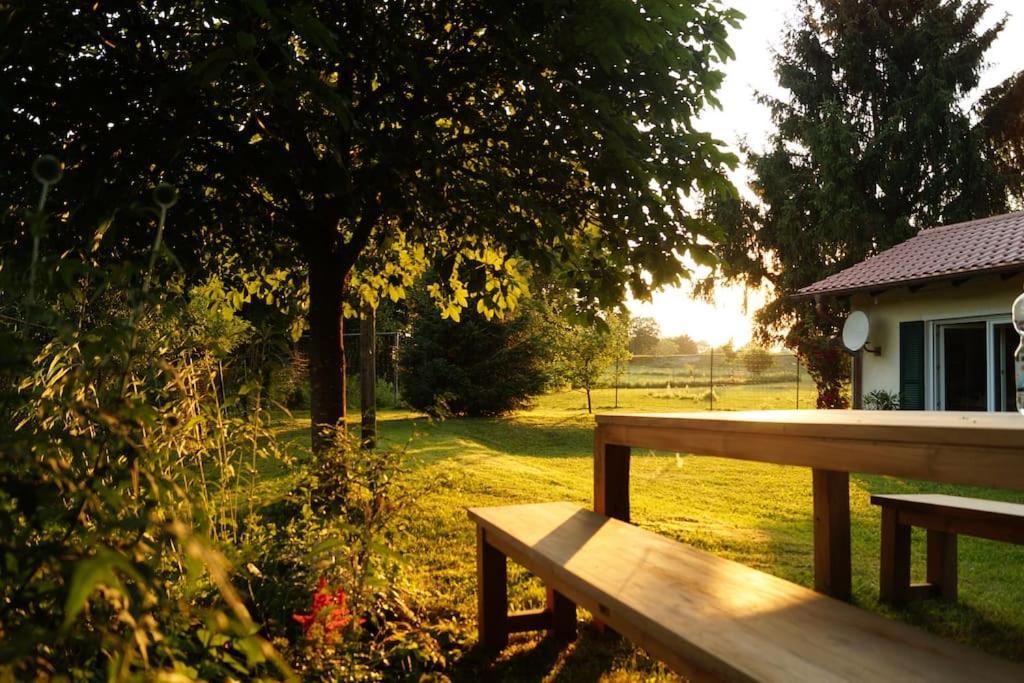 Idylisches Mit Reh