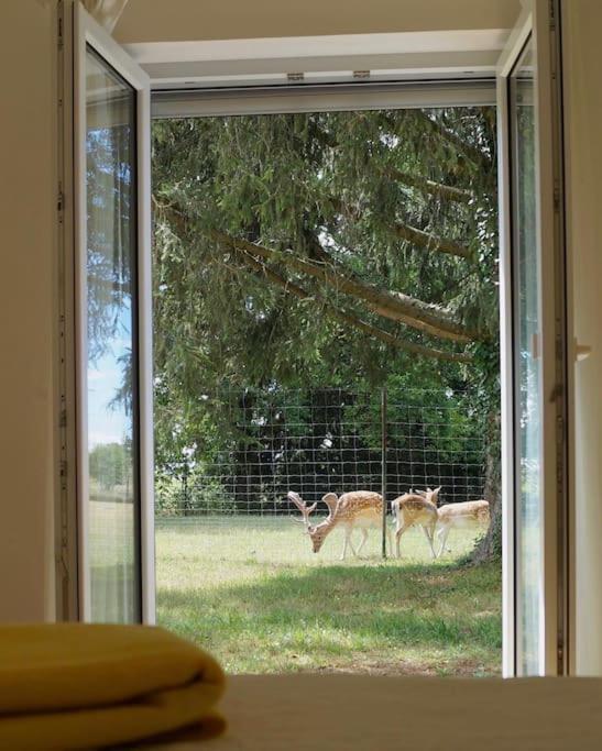 Idylisches Mit Reh Holiday home *