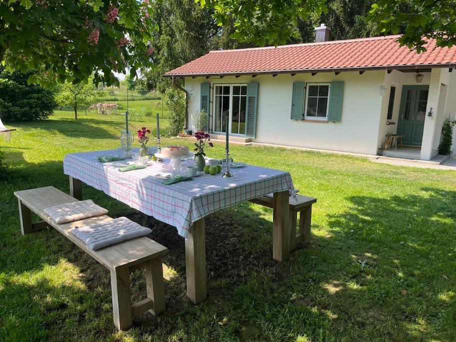 Idylisches Mit Reh * Worthsee