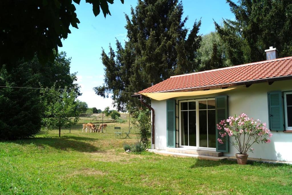 Holiday home Idylisches Mit Reh