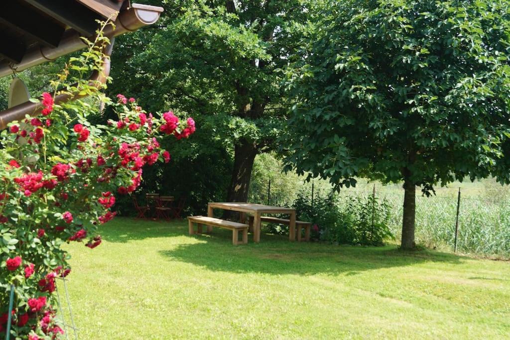 Idylisches Mit Reh Ferienhaus